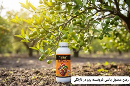 بهترین کود برای نارنگی