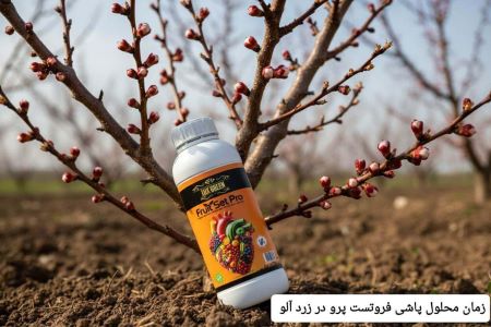 بهترین کود زردآلود
